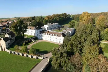 clinique du chateau de goussonville 01