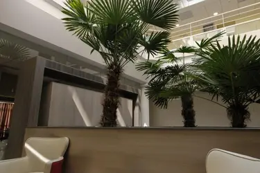 clinique la majolane meyzieu 04