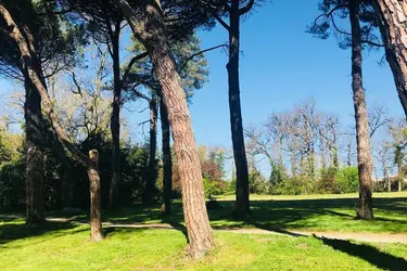 clinique psychiatrique marigny saint loup cammas parc