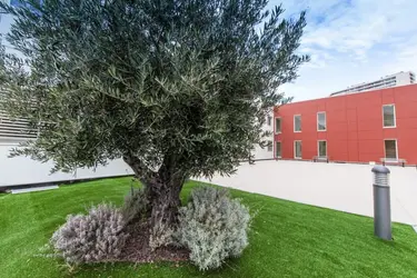 emeis-centre-cardio-vasculaire-de-valmante-marseille-umn