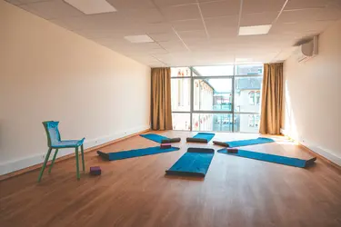 emeis-clinique-haut-cluzeau-HDJ-activite