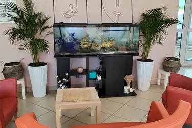 emeis maison de retraite diamantine aquarium