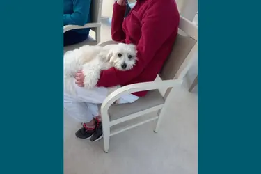 emeis maison de retraite rive ardente meditation animale 0