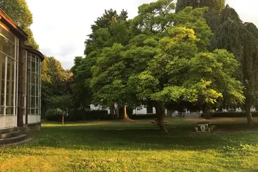la clinique lautreamont loos parc chateau