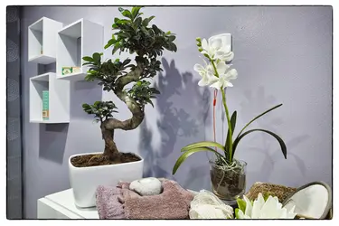 maison de retraite andernos les bains balneo