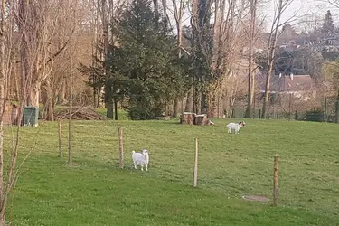 maison de retraite le chateau saint valery jardin