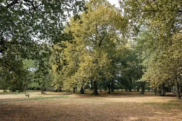 maison de retraite les jardins d ombeline parc