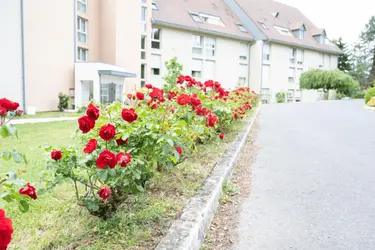 maison de retraite residence d or montmorillon face