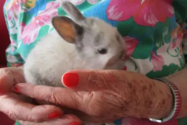 maison de retraite saint debastien albertville