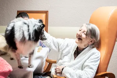 maison de retraite la talaudiere mlh8004