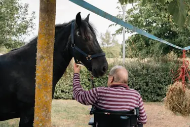 maison de retraite les vignes animaux