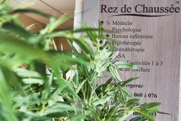 maison de retraite les vignes moulin neuf accueil