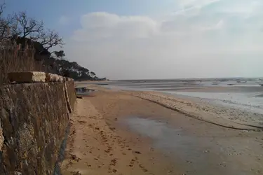 maison de retraite la villa des pins andernos les bains 01 0