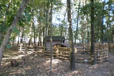 maison de retraite residence malka parc animaux