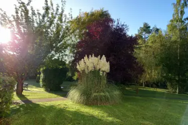 maisonderetraite lesrivesdor verdure