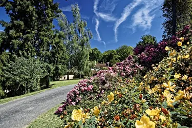 maison de retraite d or 4