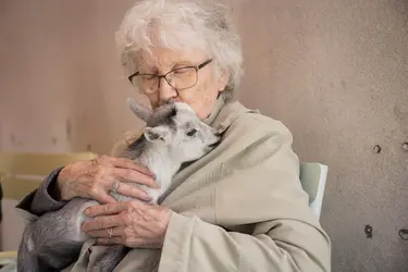 residence les mariniers zootherapie