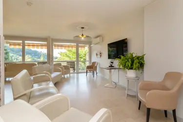 residence les mimosas salon