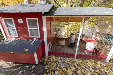 residence du vexin poulailler