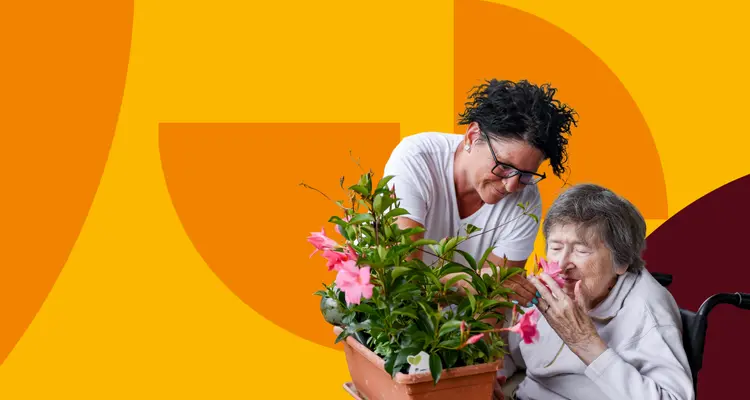 emeis_page accueil EHPAD